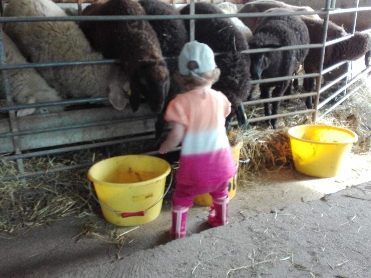 Holiday On An Organic Farm In Hart Im Zillertal Exterior foto